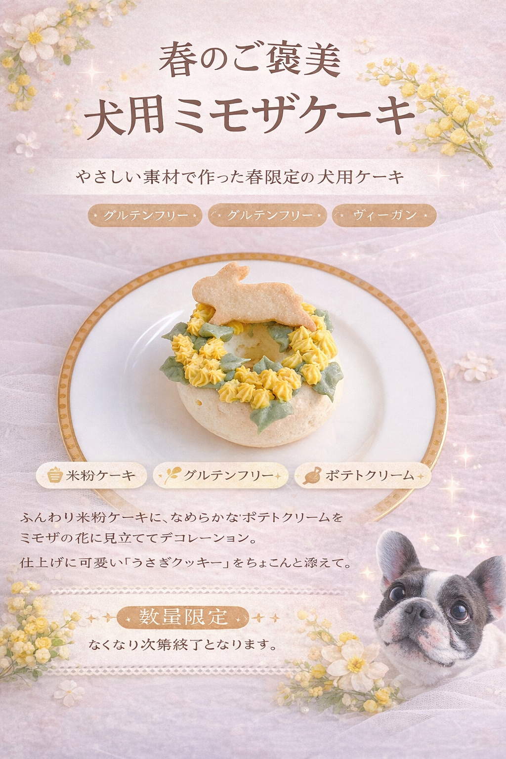 犬用ミモザケーキ　犬用ケーキ　犬おやつ