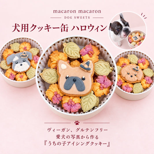 うちの子クッキー缶 ハロウィンver.