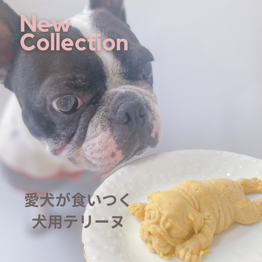 犬用テリーヌ　BUHIテリーヌ　鶏