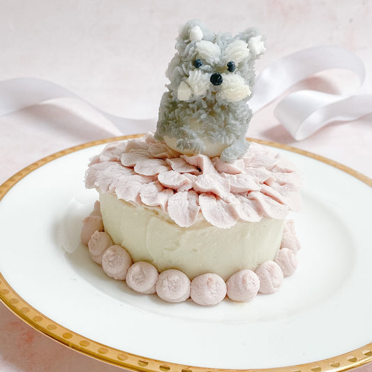 my dog cake 犬用ケーキ