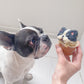 うちの子犬用カップケーキ
