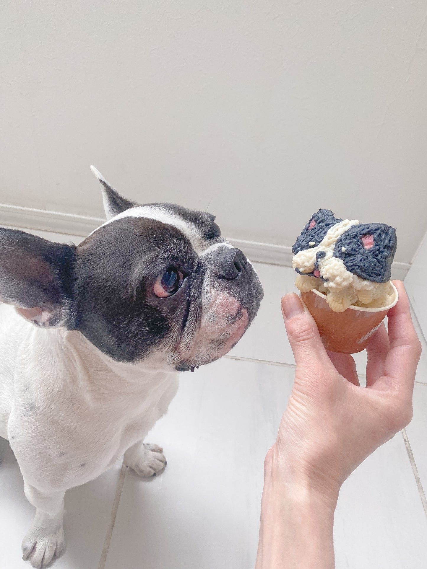 うちの子犬用カップケーキ