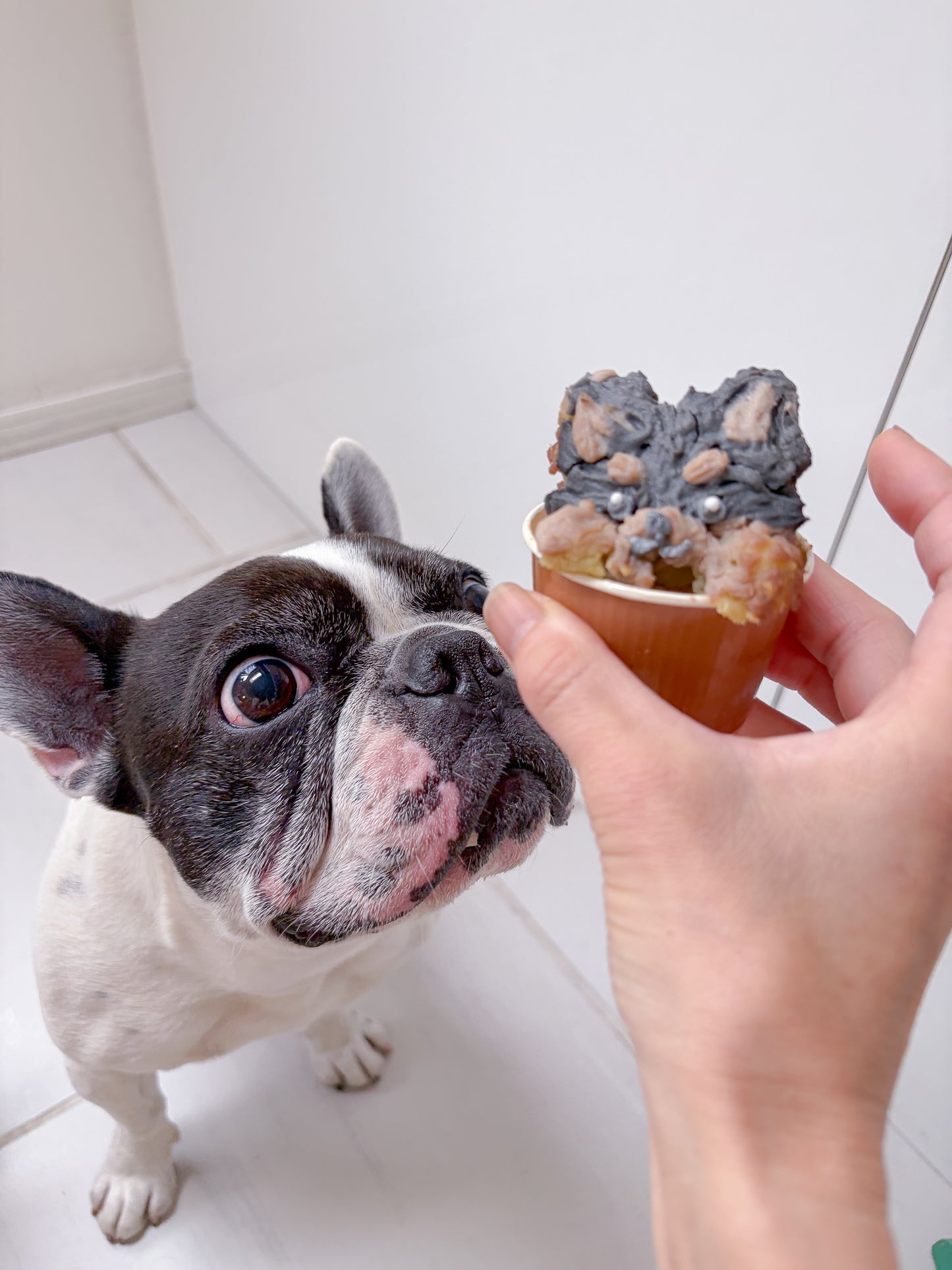 うちの子犬用カップケーキ