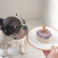 犬用ケーキ　紫陽花