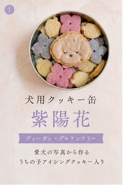 犬用クッキー缶　紫陽花　季節限定