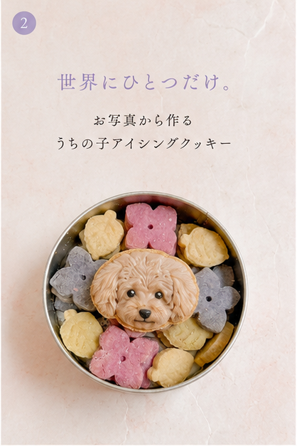犬用クッキー缶　紫陽花　季節限定