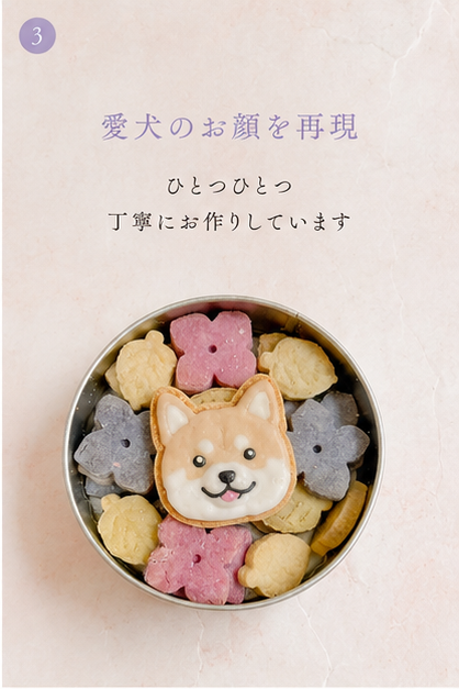 犬用クッキー缶　紫陽花　季節限定