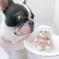 太っちょケーキ　犬用ケーキ